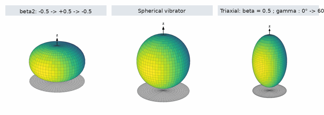 shape deformation evolution